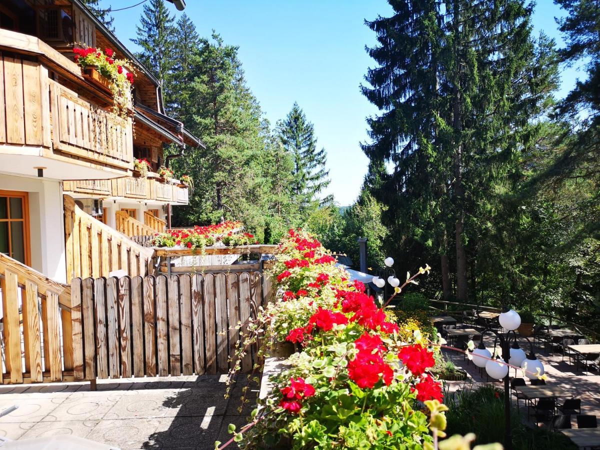 Double or Twin Room with Terrace,1345739183:JPEG
